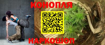 стаф Донецк