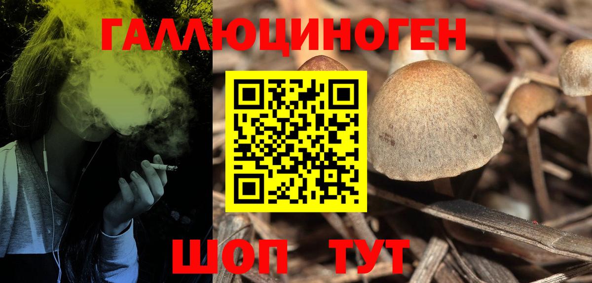 Галлюциногенные грибы GOLDEN TEACHER Лыткарино