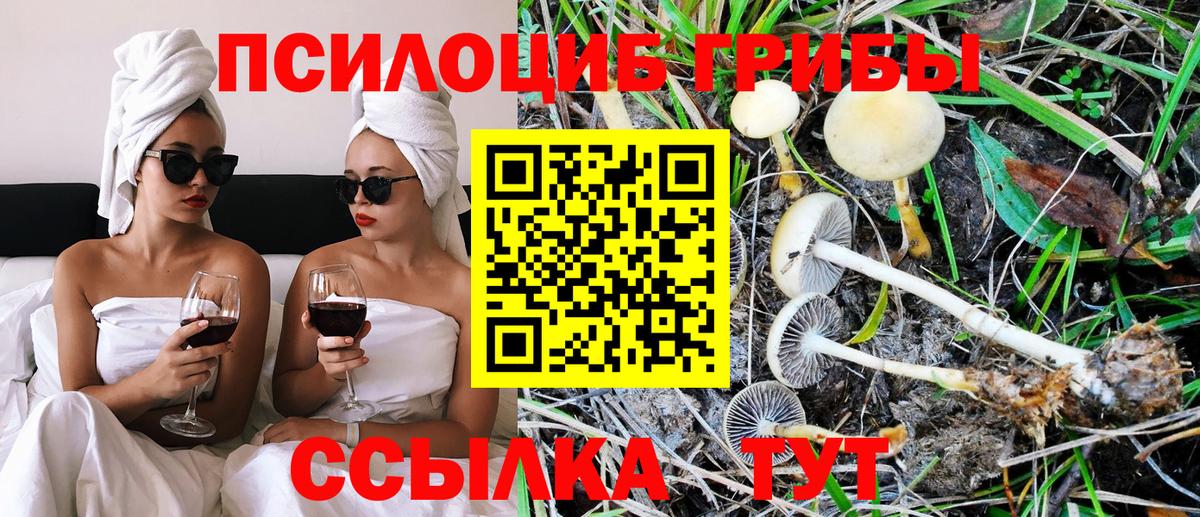 как найти   Вход с VPN  Лыткарино  Галлюциногенные грибы Psilocybine cubensis  Псилоцибиновые грибы GOLDEN TEACHER 